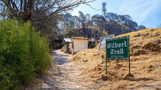 Kasauli