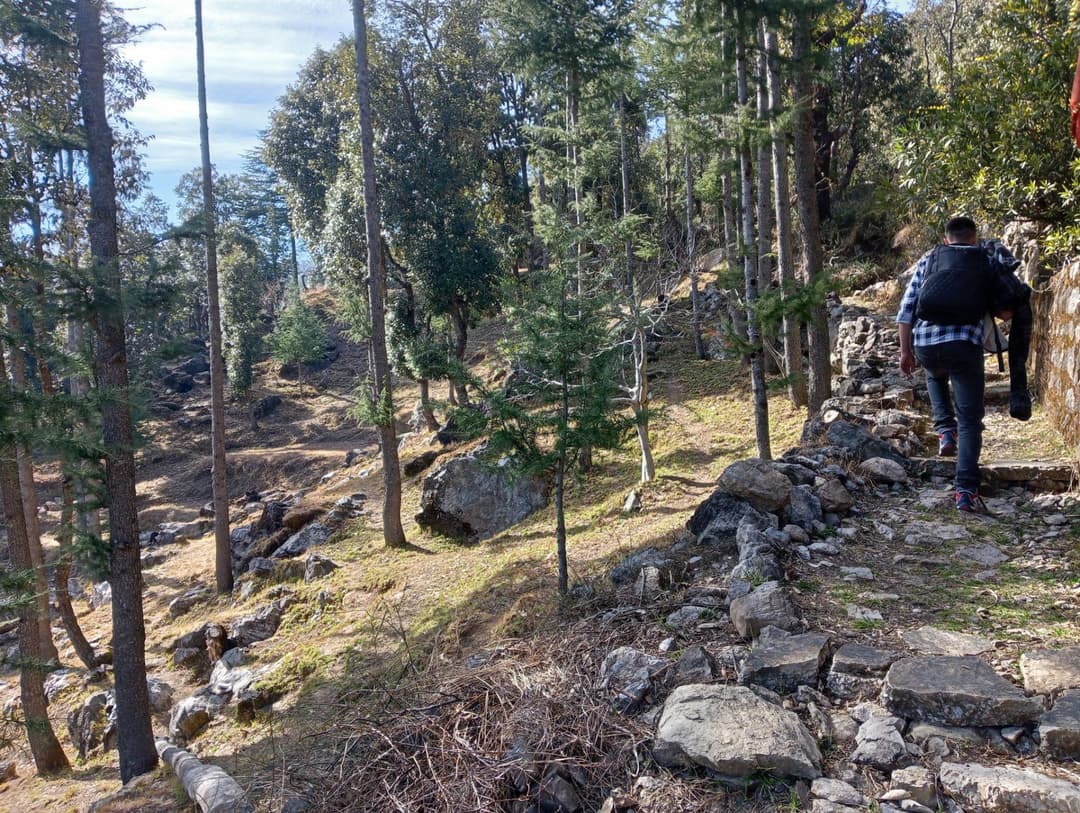 Guests enjoying a refreshing nature walk through the pine forests towards Karol tibba in Kandaghat